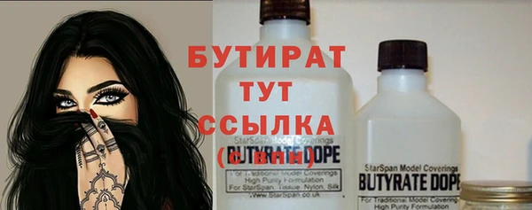 ешки Новодвинск