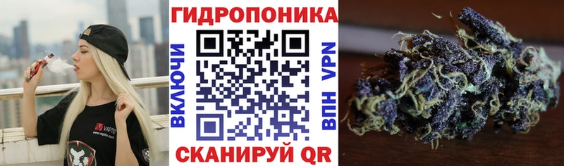 OMG ONION Куровское Бошки марихуана THC 21%